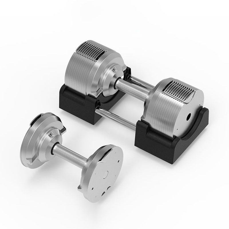 Adjustable Dumbbell Pair 40Kg - Manubri Regolabili in Argento Elettroplaccato 41,5