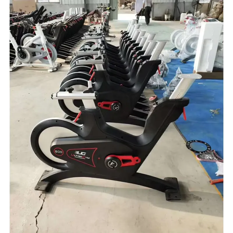 Cyclette Professionale con Res - Exercise Bike Magnetic Resistance recensione e prezzo