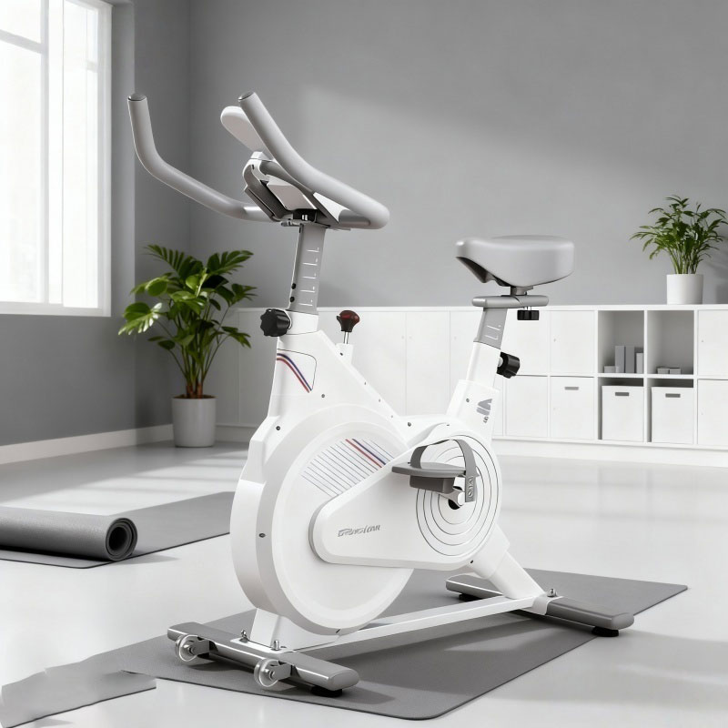 Cyclette da Interno, Bici da S - Exercise Bike Magnetic Resistance recensione e prezzo